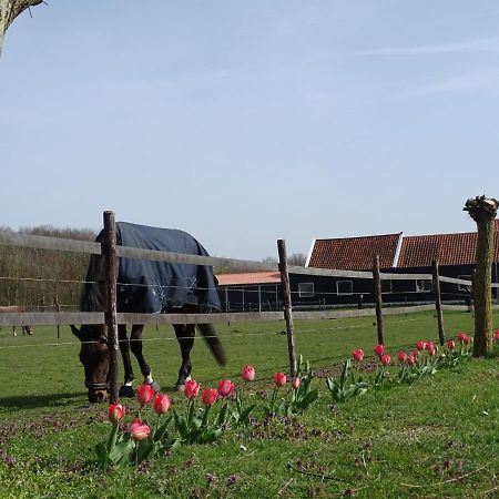 De Tulp Noordgouwe Exterior foto
