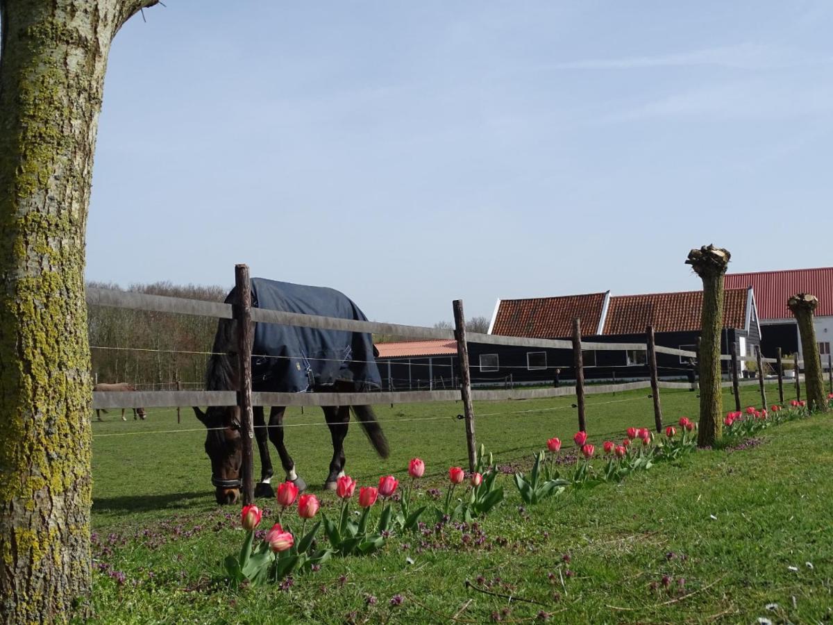 De Tulp Noordgouwe Exterior foto