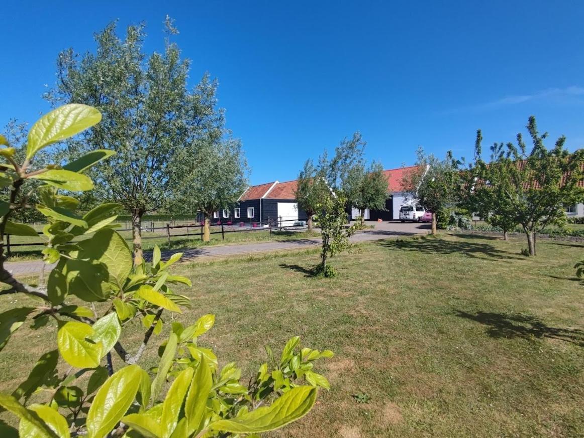 De Tulp Noordgouwe Exterior foto